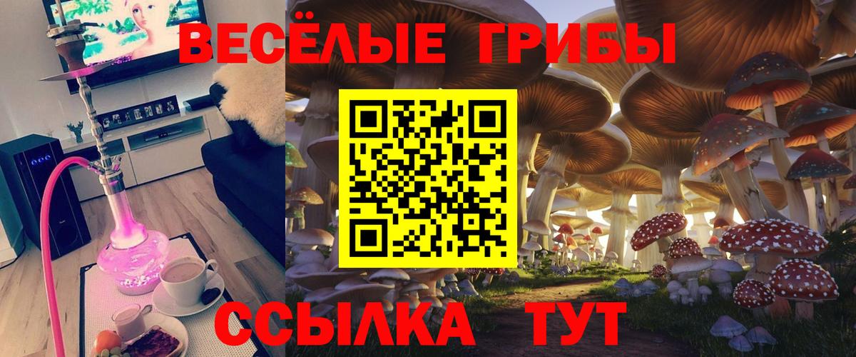 Псилоцибиновые грибы Magic Shrooms Майский